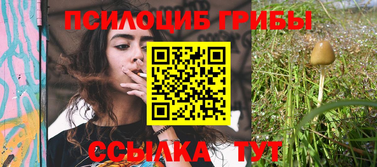 Приморско-Ахтарск  Псилоцибиновые грибы GOLDEN TEACHER  Вход с VPN 