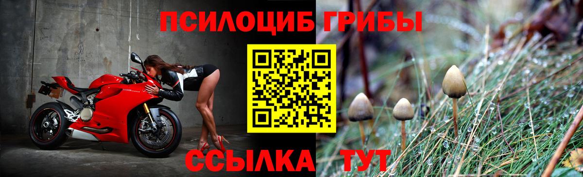 Псилоцибиновые грибы ЛСД Приморско-Ахтарск